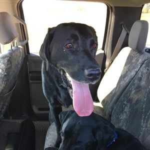 Meet your Posher, Todd